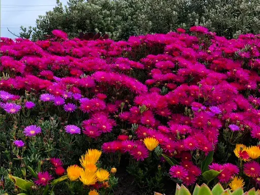 Samadhan